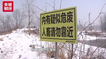 長江江灘驚現數千噸工業垃圾 固體廢物治理再響警鐘