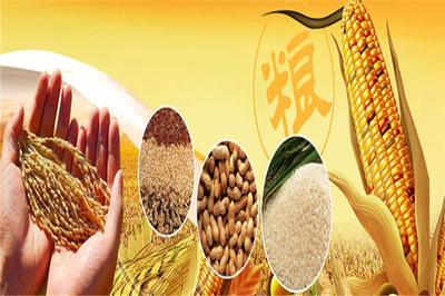 豐園農(nóng)副食品 深耕糧食加工，守護(hù)百姓餐桌安全與營(yíng)養(yǎng)