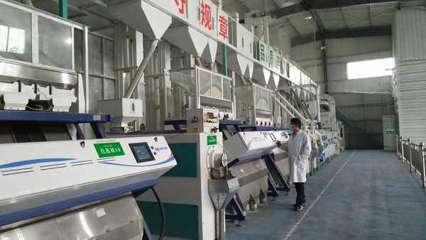 大米加工生產(chǎn)制度 確保糧食加工食品質(zhì)量與安全