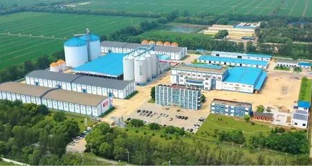 盤錦好糧香飄四海，盛會讓利惠聚八方——探訪糧食加工食品產(chǎn)業(yè)的“沃土”